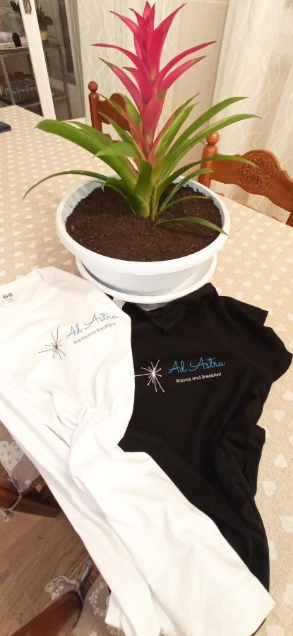 Ad Astra Rooms Rawenna Zewnętrze zdjęcie